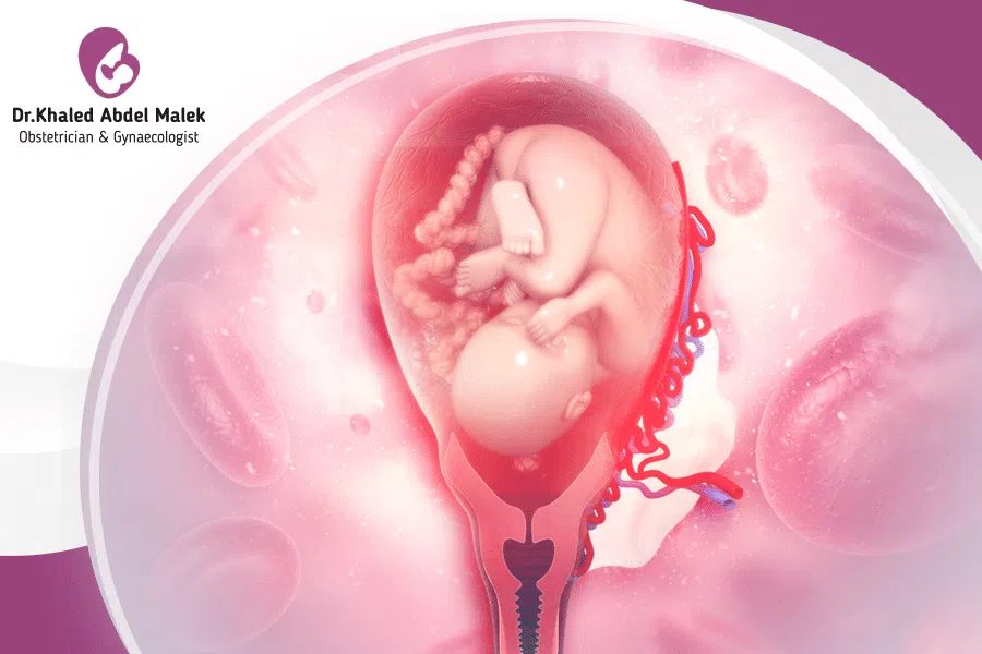 الخدمات 12 علاج المشيمة المتقدمة